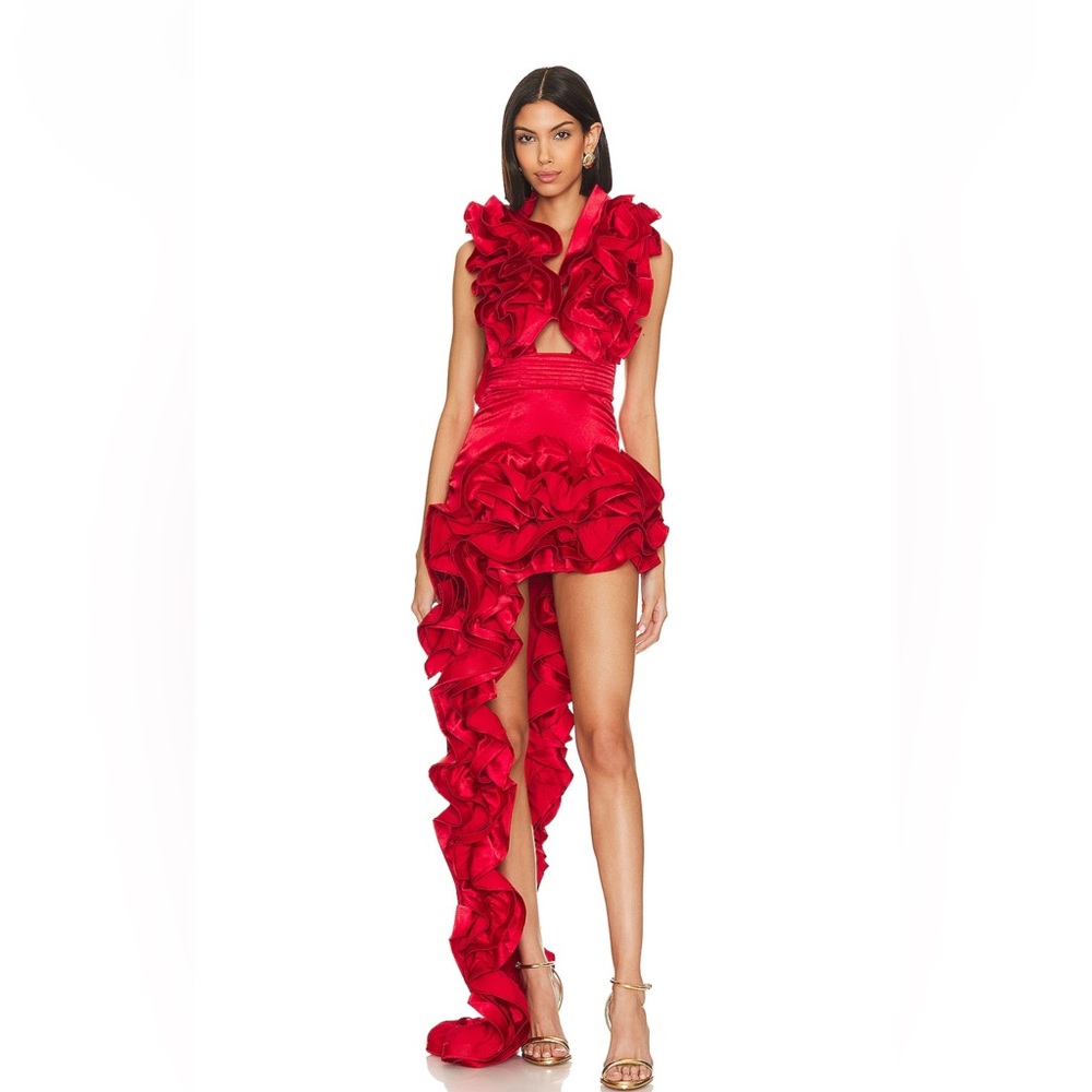 Bronx and Banco Red Aurora Gown